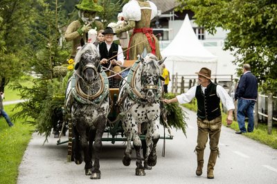 Fahrt mit der Pferdekutsche beim Bauernherbst im Salzburger Land