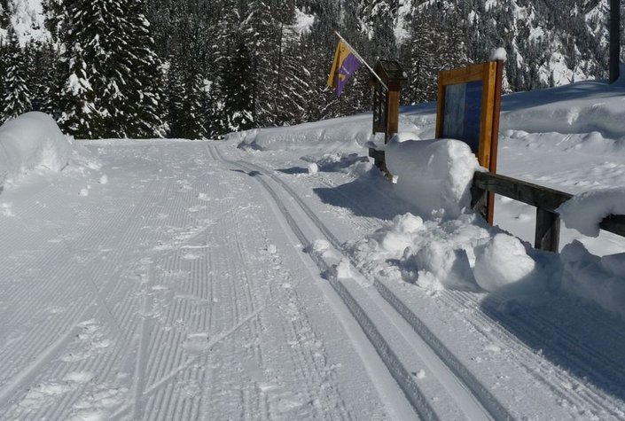 Raineralm
