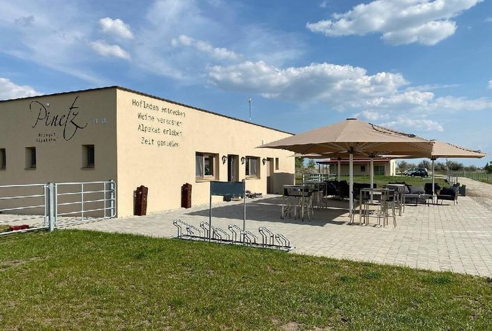 Weingut und Alpakahof Pinetz