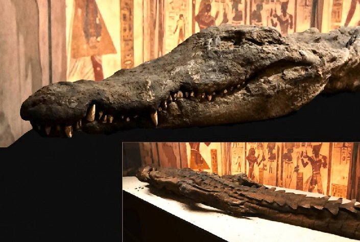 Naturwelten - Naturmuseum Salzkammergut