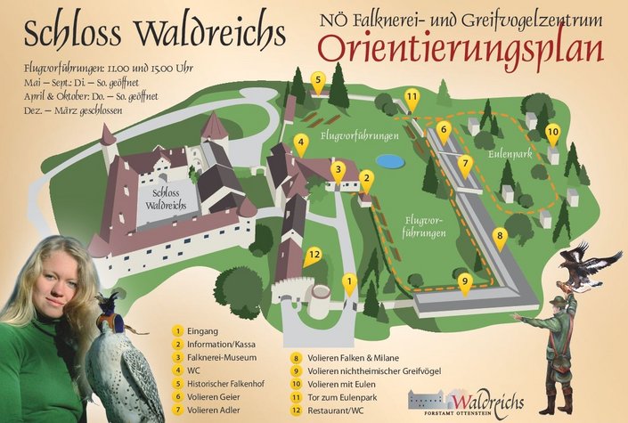 NÖ Falknerei- & Greifvogelzentrum