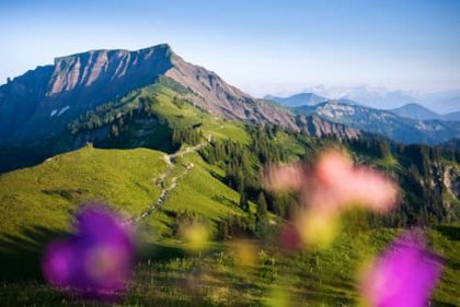 Urlaub in Vorarlberg