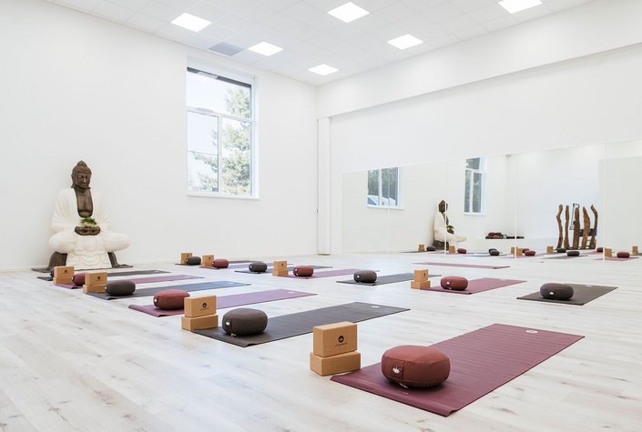 Yoga Roots