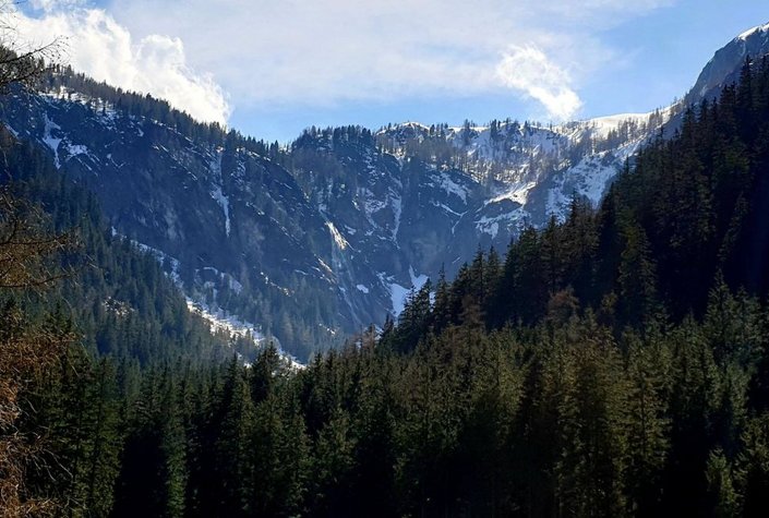 Alpengasthof Villa Elli