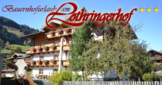 Bauernhofurlaub am Lothringerhof - Dorfgastein - Gasteinertal