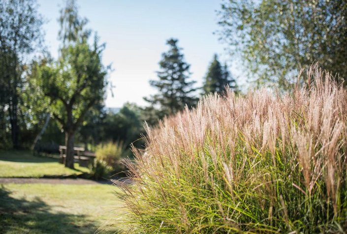 Bio-Heilkräutergarten Klaffer am Hochficht