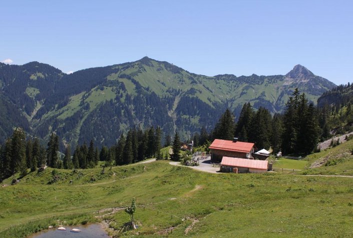 Krinnenalpe