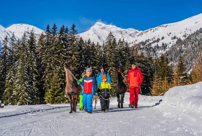 Tauern-Lama Mallnitz