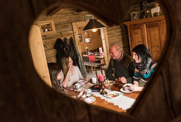 Pritzhütte - Ponyalm