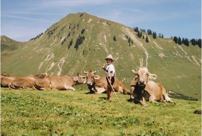 Gasthof Kreuz - St. Gerold und Gassner Alpe