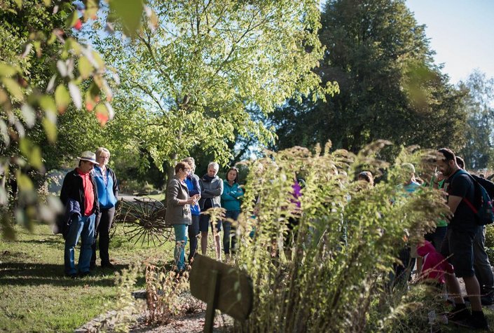 Bio-Heilkräutergarten Klaffer am Hochficht