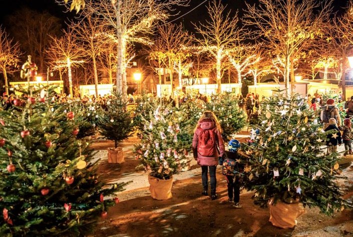 Advent im Park