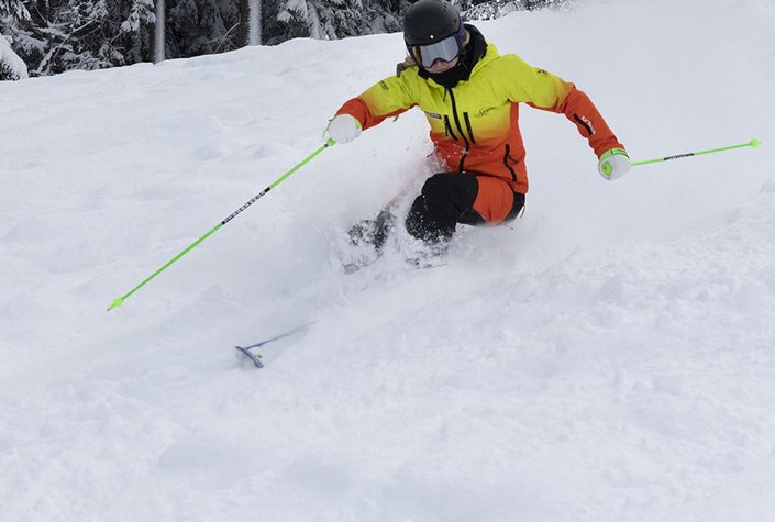 Skischule Gosau