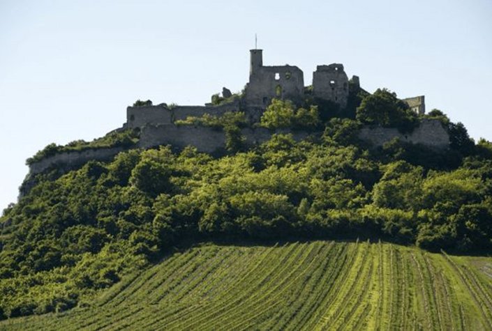 Burgruine Falkenstein