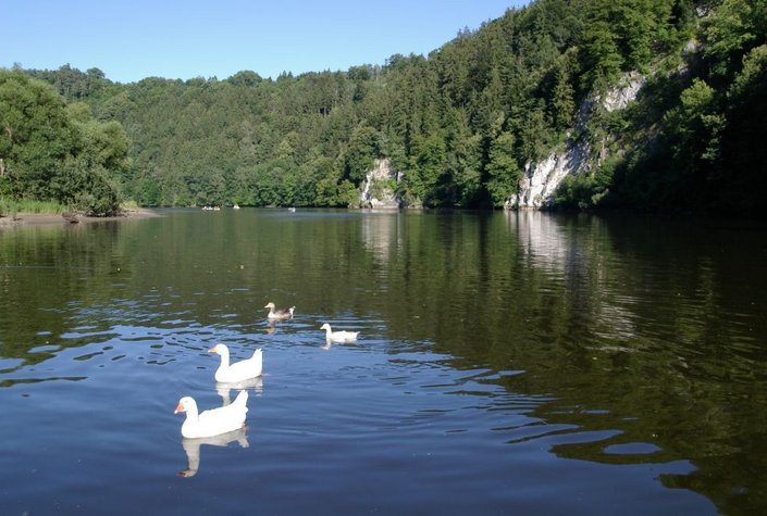 Seecamping Krumau am Kamp