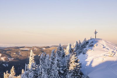 Winter auf der Gemeindealpe in Niederösterreich