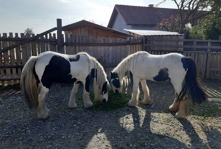 ErlebnisHof Strasser