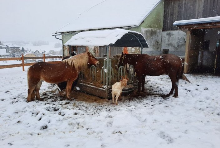 Radlranch