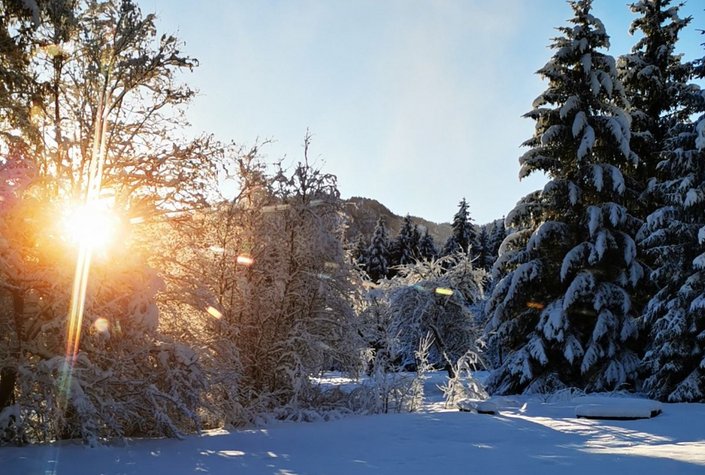 Naturfreunde Sporthotel Grünau - Haus Wimmergreuth