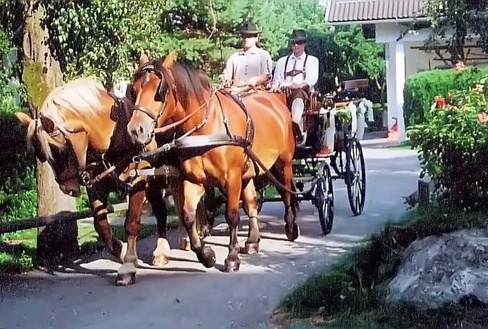 Landgasthof Tell - Drauradweg-Wirt