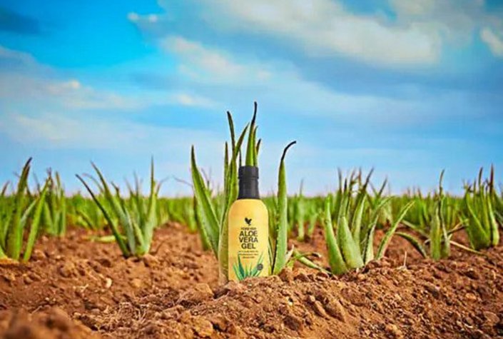 Forever Living Products