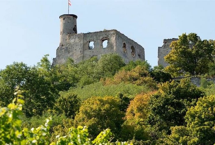 Burgruine Falkenstein