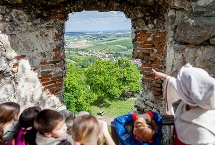 Burgruine Falkenstein