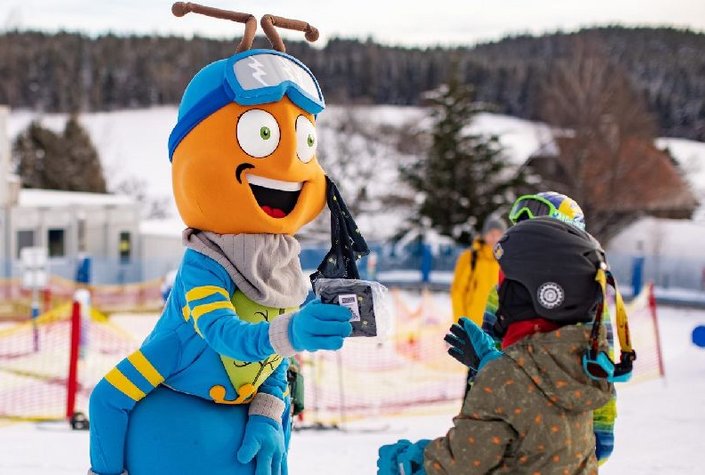 Skischule SEISER-PFLUG am Wechsel