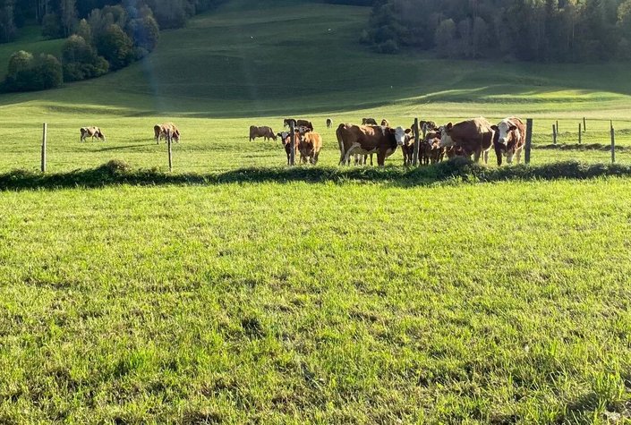 Wiesn-Relax-Camping