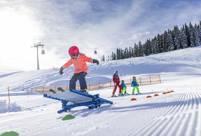 Die Skischule.at