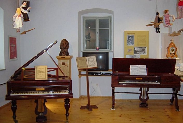 Pleyel Museum & Kulturzentrum