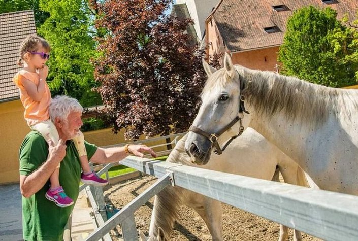 Lipizzanergestüt Piber