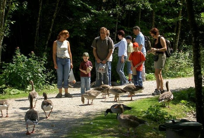 Cumberland Wildpark Grünau