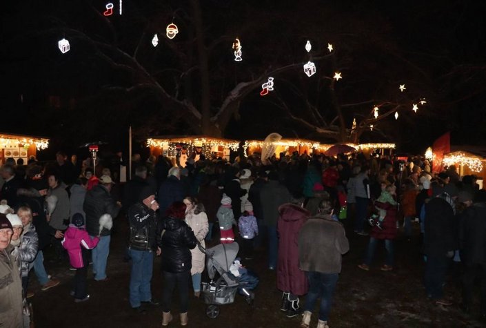 Adventzauber im Schlosspark Ebreichsdorf