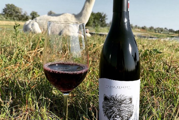 Weingut und Alpakahof Pinetz