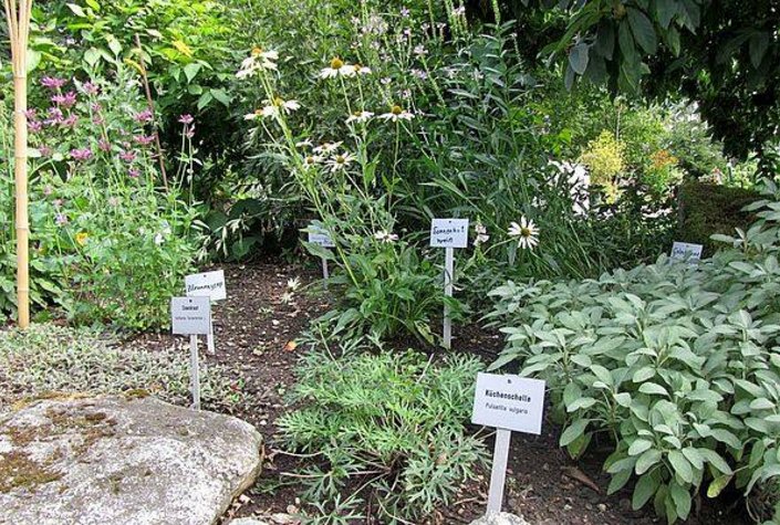 Bio-Heilkräutergarten Klaffer am Hochficht