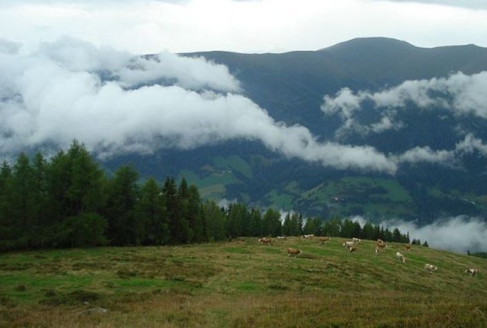 Jörghof