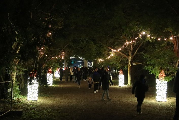 Adventzauber im Schlosspark Ebreichsdorf