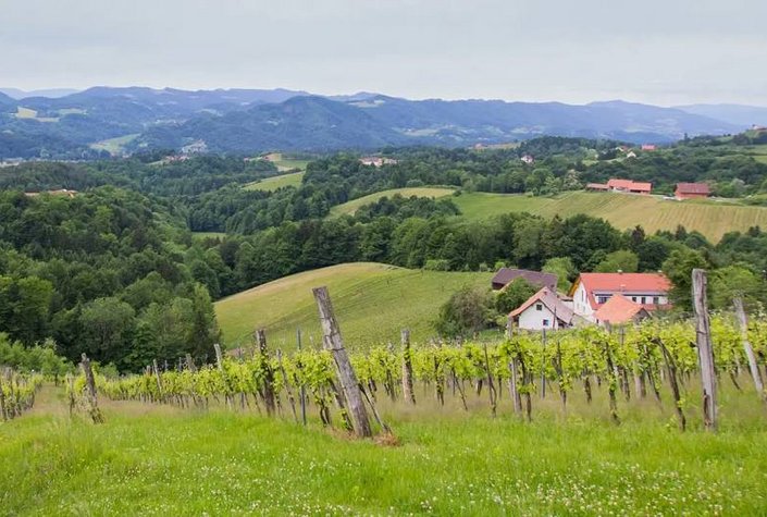 Weingut Resch Ludwig