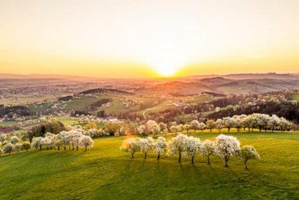 Urlaub in Niederösterreich