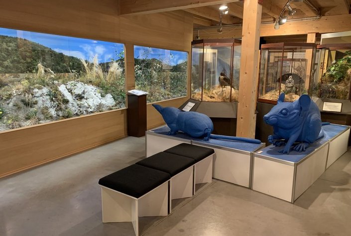 Naturwelten - Naturmuseum Salzkammergut
