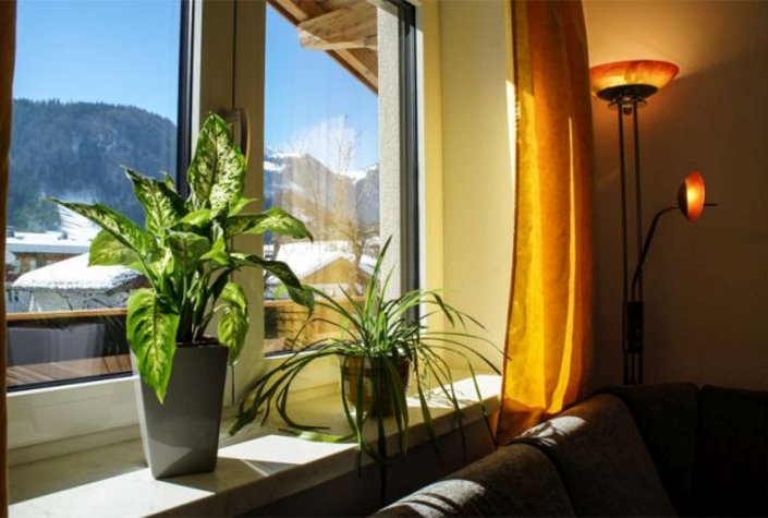 Ferienwohnung Rieder