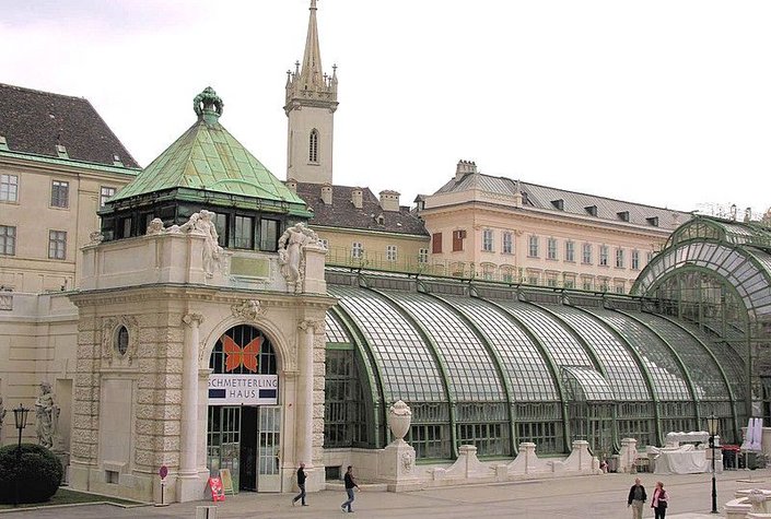 Schmetterlinghaus - Burggarten