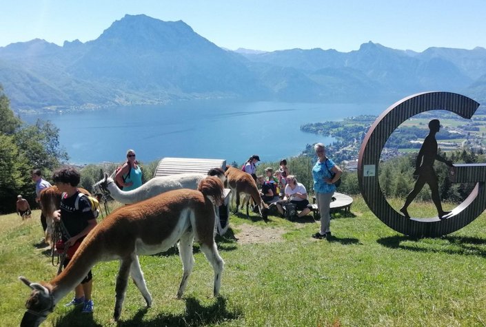 Lamawandan im Salzkammergut