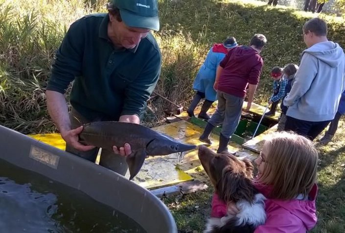 1. Waldviertler Kinderbauernhof Kurz