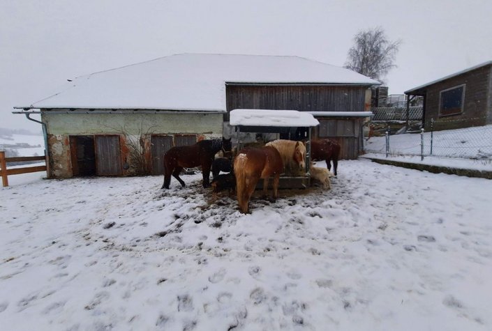 Radlranch