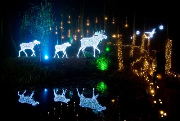 Advent- & Lichterzauber - Domäne Lilienberg