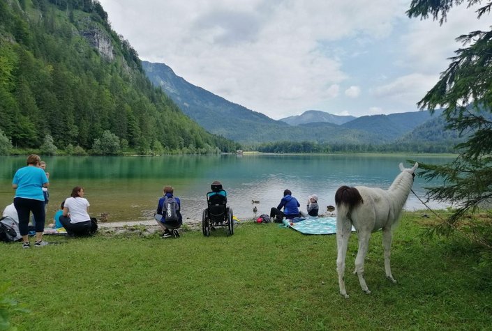 Lamawandan im Salzkammergut