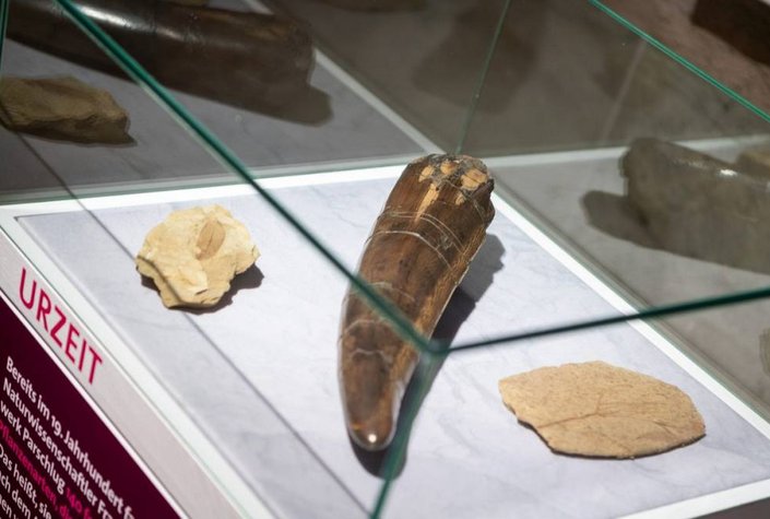 Museum Kapfenberg