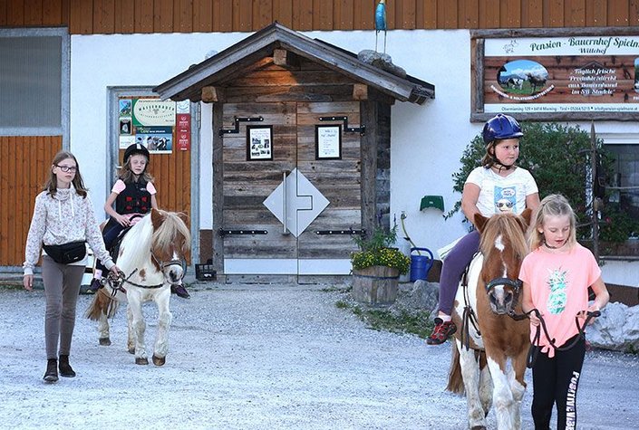 Pension Bauernhof Spielmann